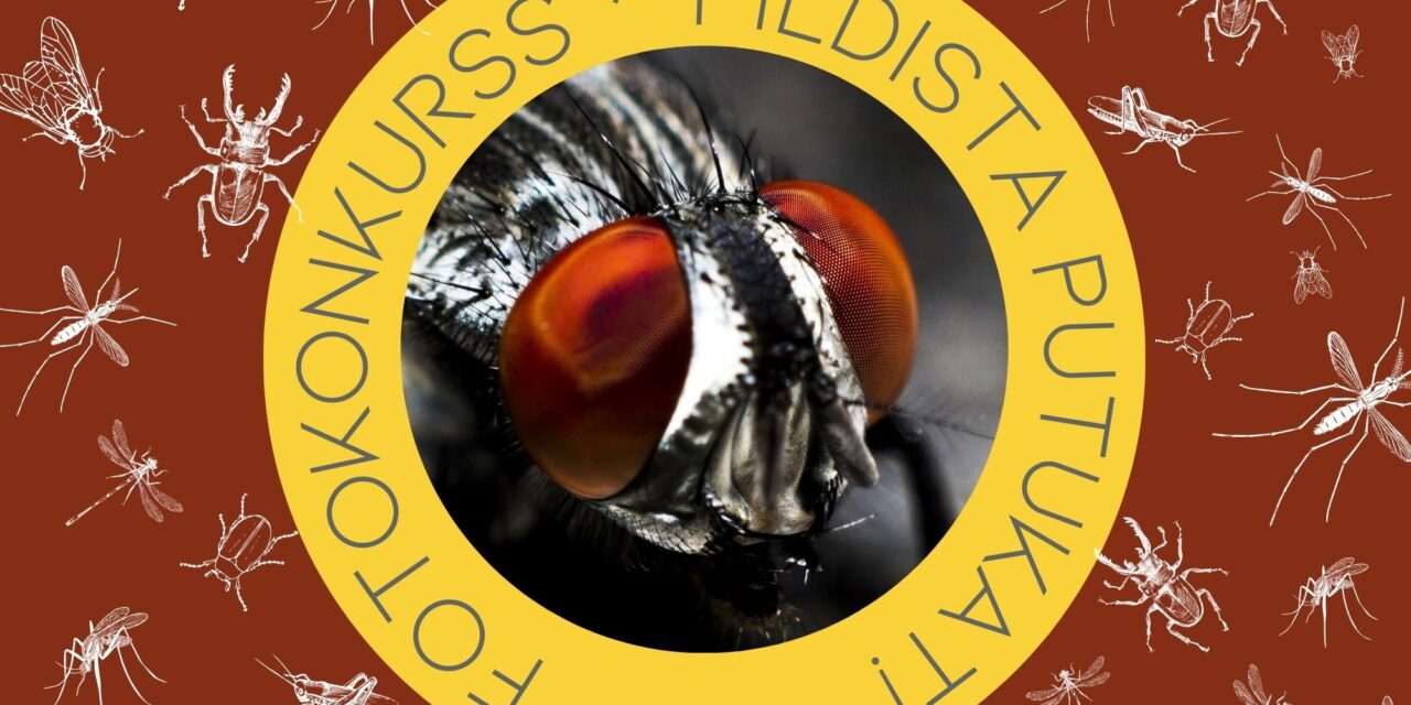 Fotokonkurss “Pildista putukat!”