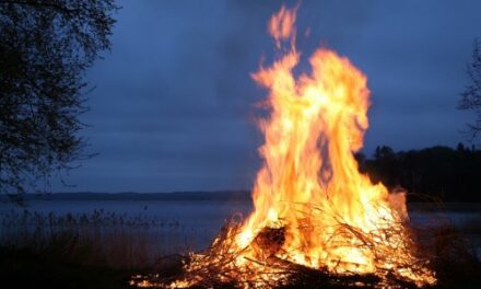 Juuni kuu sündmused luunja vallas