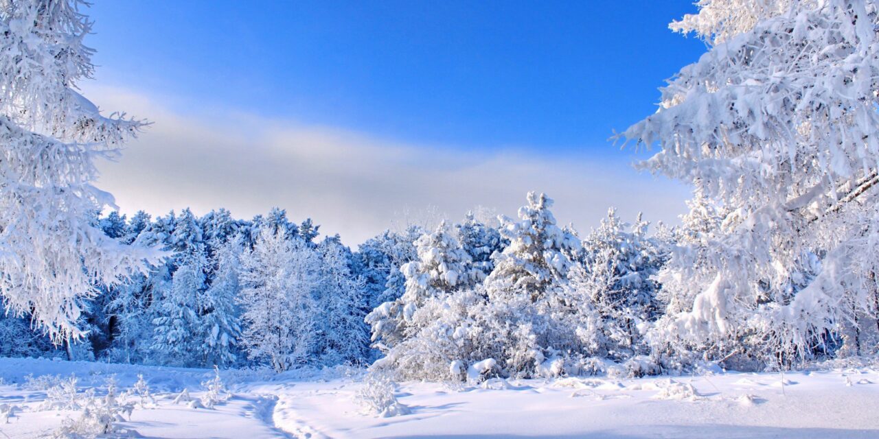 Veebruari kuu sündmused Luunja vallas