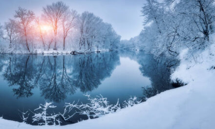 Jaanuari kuu sündmused Luunja vallas