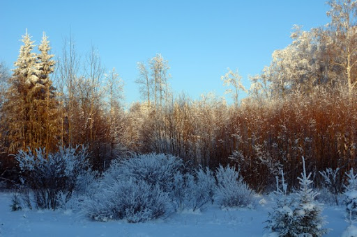 Märtsi kuu sündmused Luunja vallas