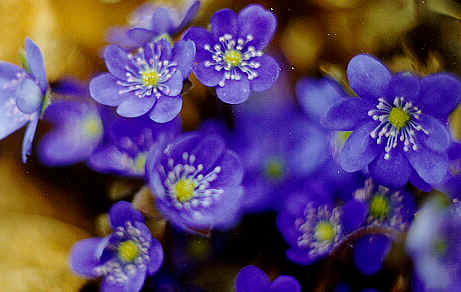 Aprilli kuu sündmused Luunja vallas